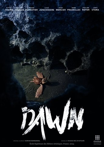 Dawn poster
