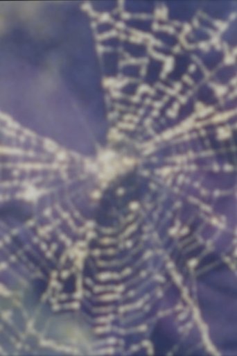 Worm and Web Love (1999)