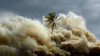 #5 Tsunami: Race Against Time