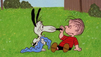 #29 Snoopy Come Home