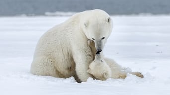 Polar Bear Week with Nigel Marven - S1E01