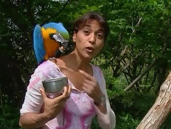 Episode 37