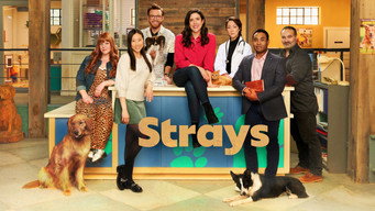 #4 Strays