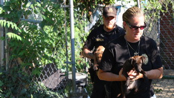 #4 Philly Undercover