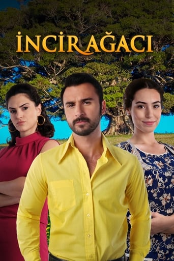 Poster of İncir Ağacı