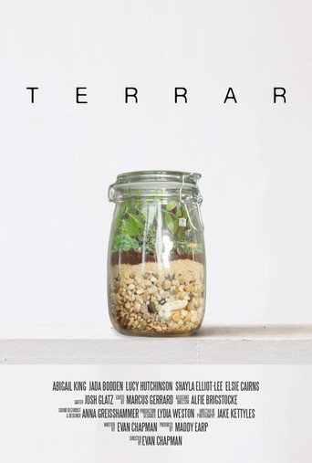 Terrar galeri 2