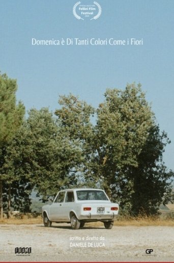 Domenica è di tanti colori come i fiori poster