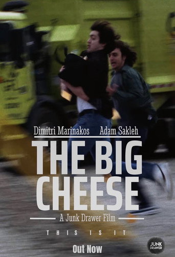 Poster 3