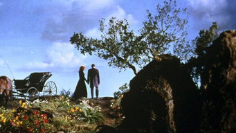 Tennessee's Partner (1955)