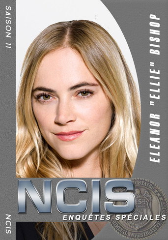 NCIS : Enquêtes Spéciales - S11 - Poster