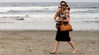 Reflexões de um Liquidificador