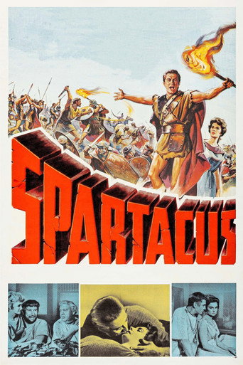 Poster 96