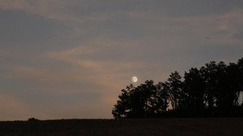 #175 The Wonders
