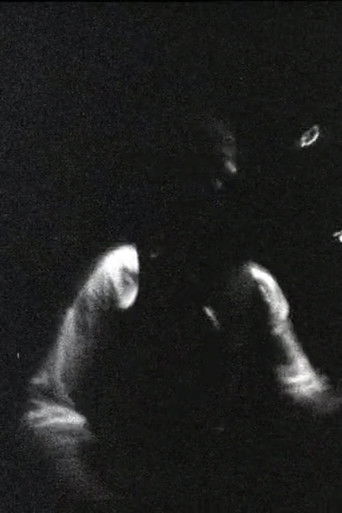 Blonde Redhead Meets Gainsbourg – Spring & by Summer Fall