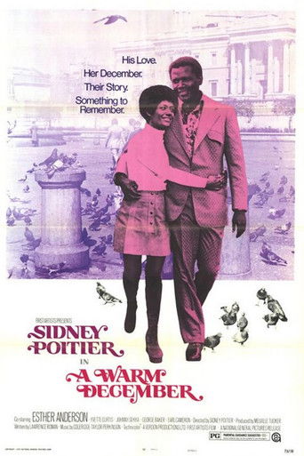 A Warm December poster 6