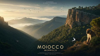 Wild Morocco Temporada 1 Episodio 1
