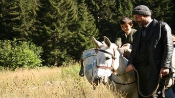 Мед (2010)