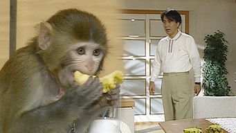 Episode 16 — Episode 16