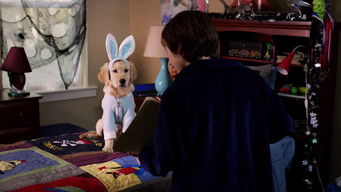 Galeria 4 - Truco, trato y Buddies