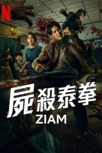 Ziam — Pósters 24