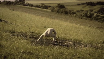 Escena 1 de Debris Documentar