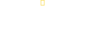9/11: Cleared for Chaos logo