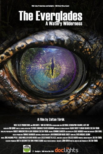 The Everglades - A Watery Wilderness