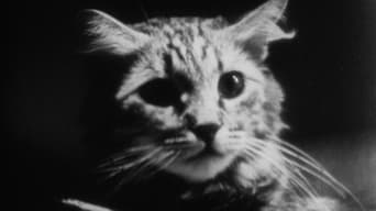 The Private Life of a Cat (1944)