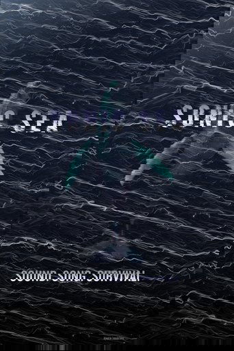 Sonic Sea (2016)