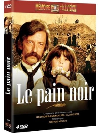 Poster of Le Pain noir