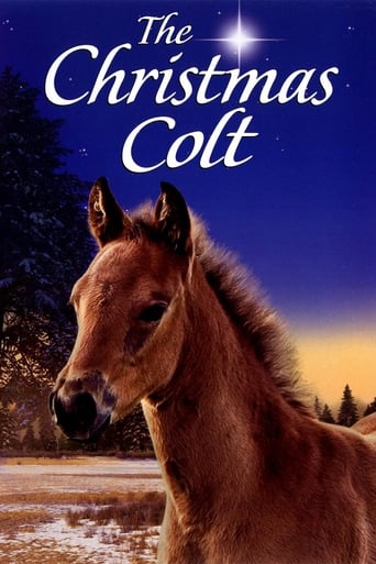 Poster för The Christmas Colt