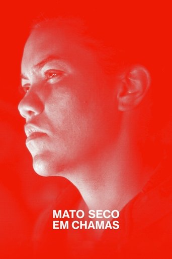 Mato seco em chamas
