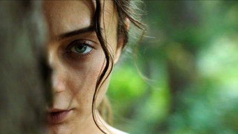 Sibel media image