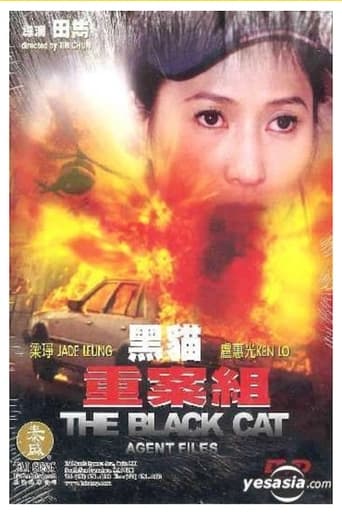Poster of The Black Cat Agent Files