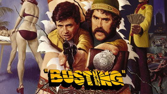 #11 Busting
