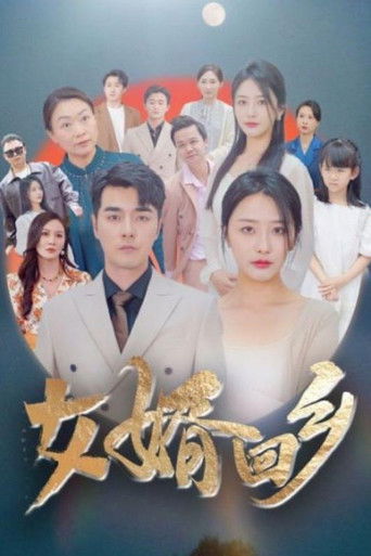 女婿回乡 poster