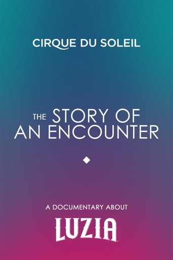 The Story Of An Encounter (2016)