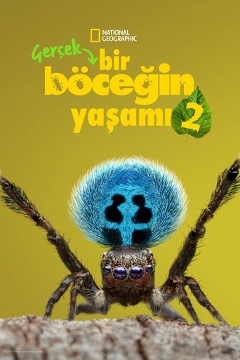 Sezon 2