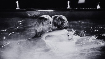 H.O.T.S. (1979)