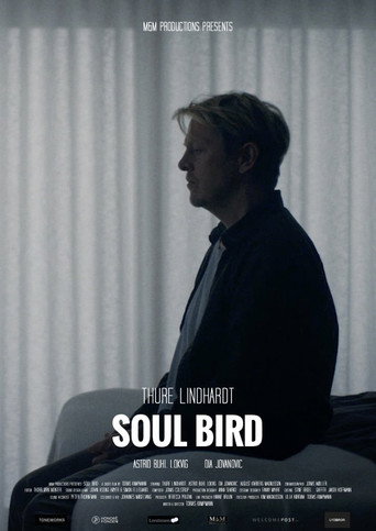 Soul Bird poster