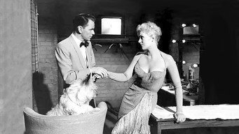 #18 Pal Joey