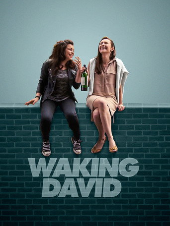 Waking David (2016)