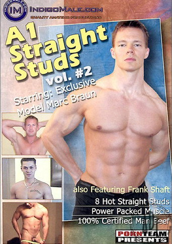 A1 Straight Studs #2 galeri 1