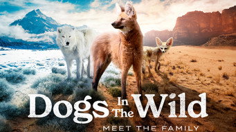 #4 Dogs in the Wild