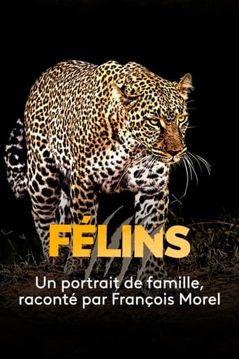 Poster of Big Cats