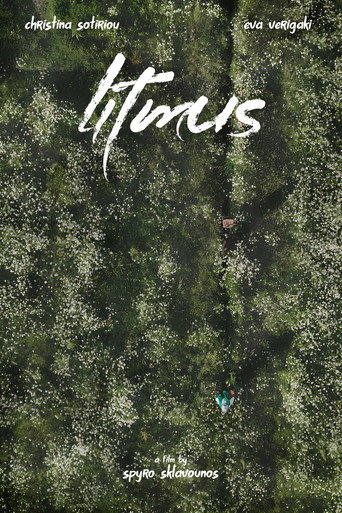 Litmus