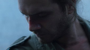 Blight media image