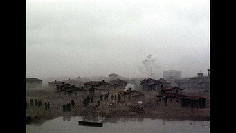 #13 The Weeping Meadow