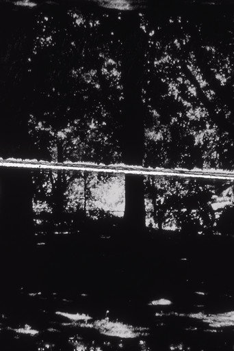 Carta desde Prospect Park (2019)