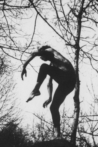 A Study in Choreography for Camera